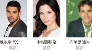 海军罪案调查处第二十季的影评 海军罪案调查处第二十季的影评